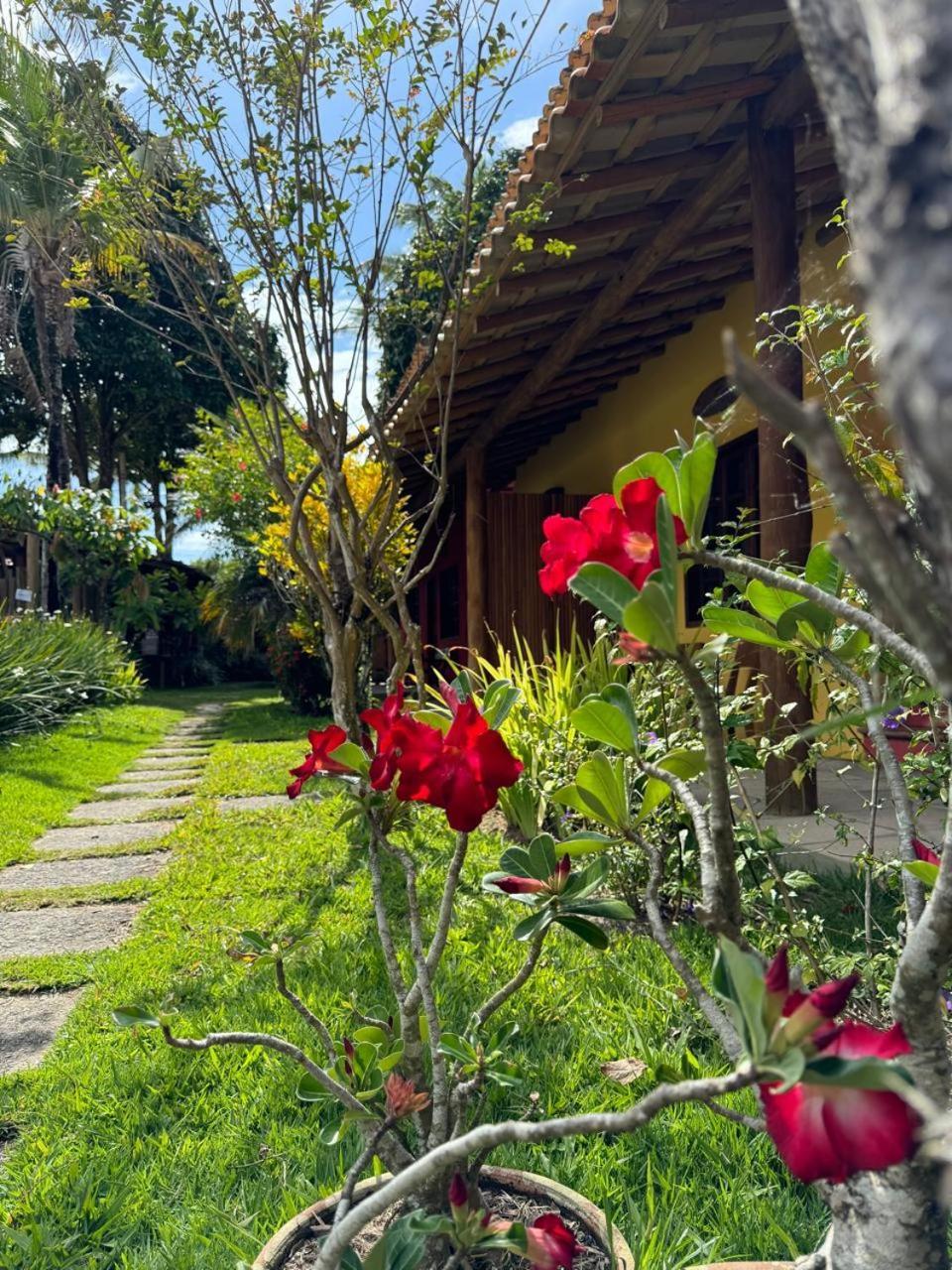 Pensão Mache & Boutique - A Charmosa De Arraial D Ajuda