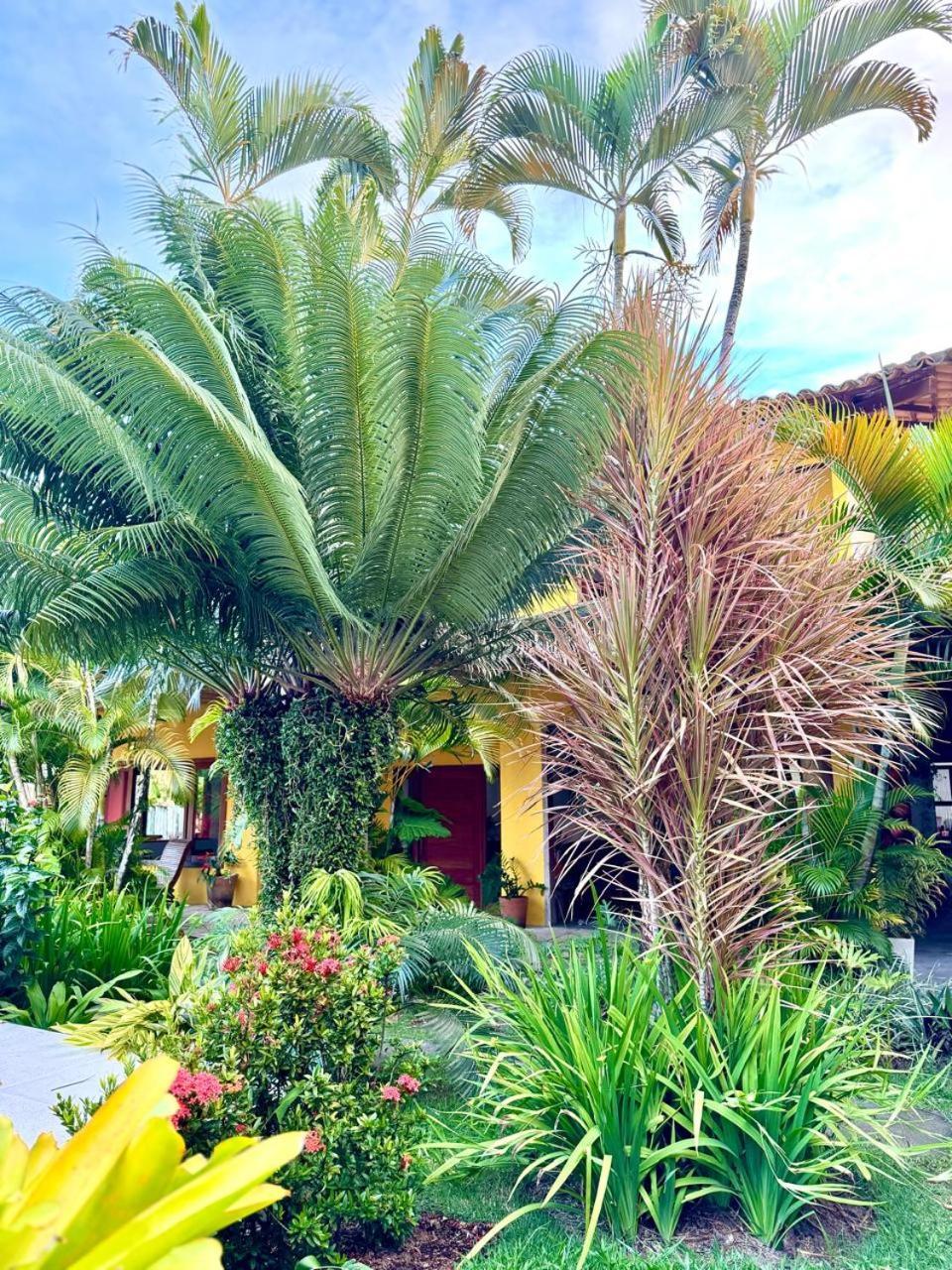 Mache & Boutique - A Charmosa De Arraial D Ajuda Pensão 3*